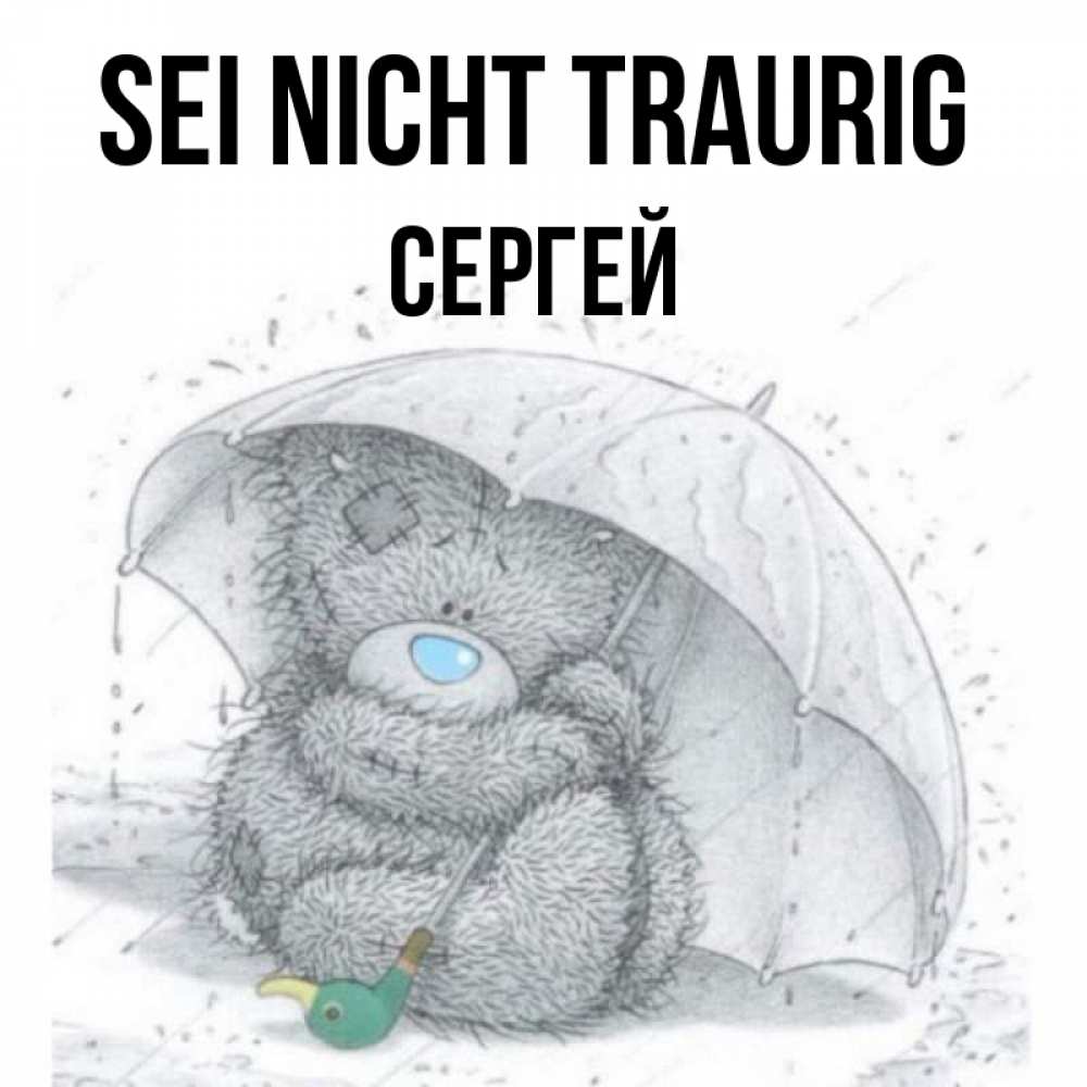Открытка на каждый день с именем, Сергей Sei nicht traurig спасите мишку Тедди Прикольная открытка с пожеланием онлайн скачать бесплатно 