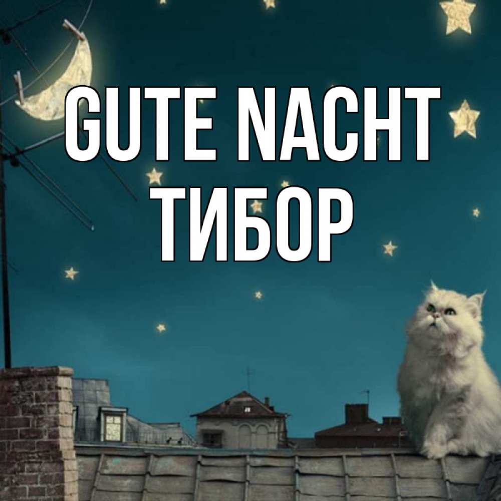 Открытка на каждый день с именем, Тибор Gute Nacht белый кот сидит на крыше Прикольная открытка с пожеланием онлайн скачать бесплатно 