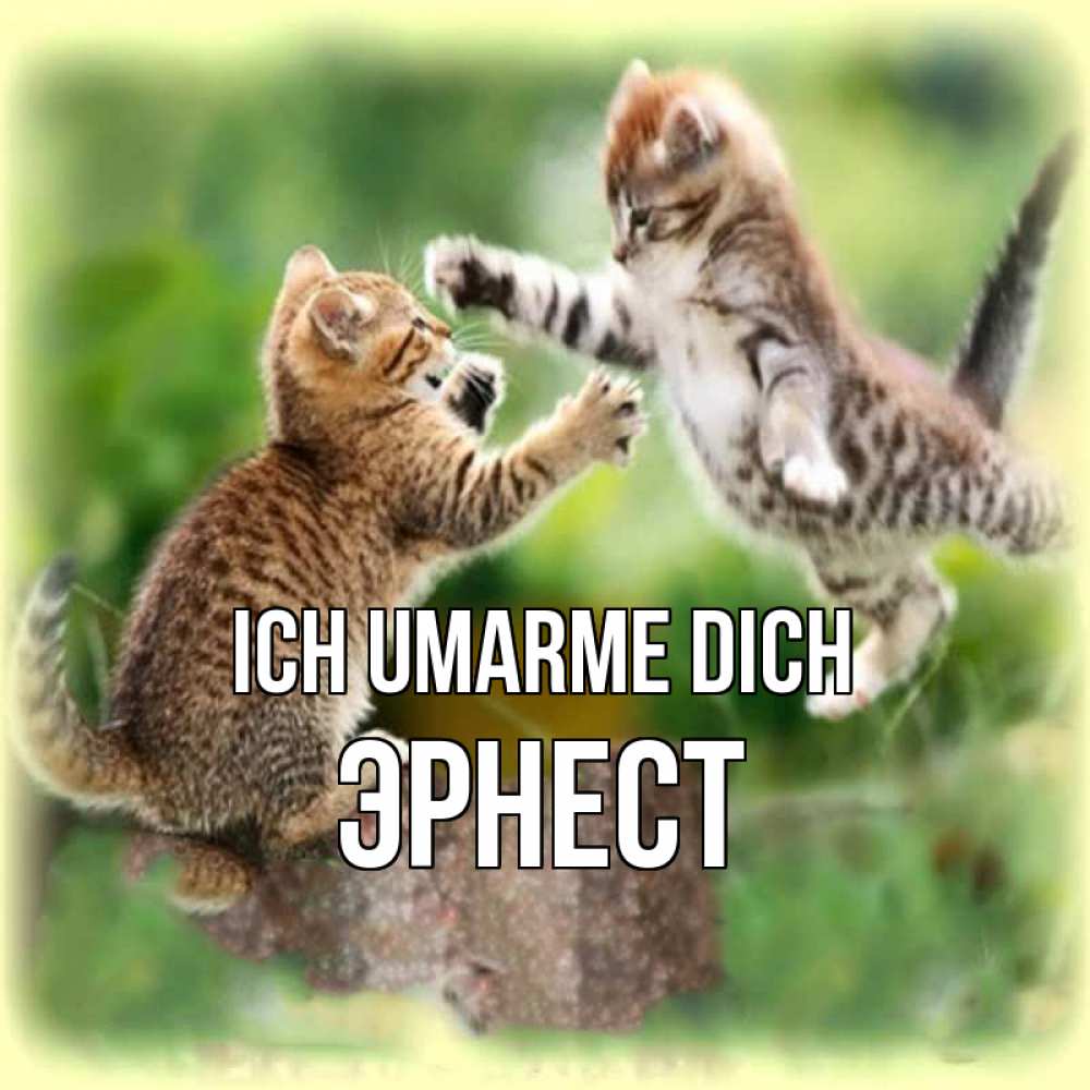 Открытка на каждый день с именем, Эрнест Ich umarme dich игры котят Прикольная открытка с пожеланием онлайн скачать бесплатно 