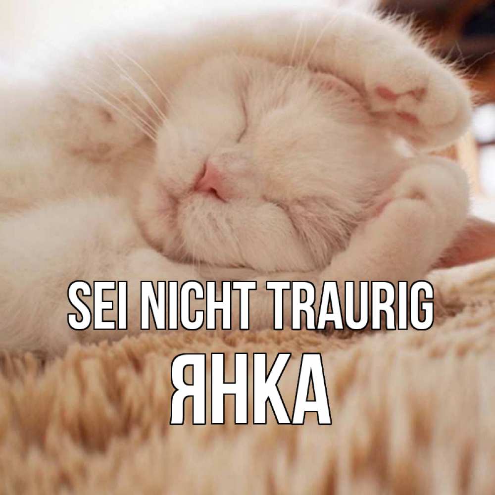 Открытка на каждый день с именем, Янка Sei nicht traurig белый кот Прикольная открытка с пожеланием онлайн скачать бесплатно 