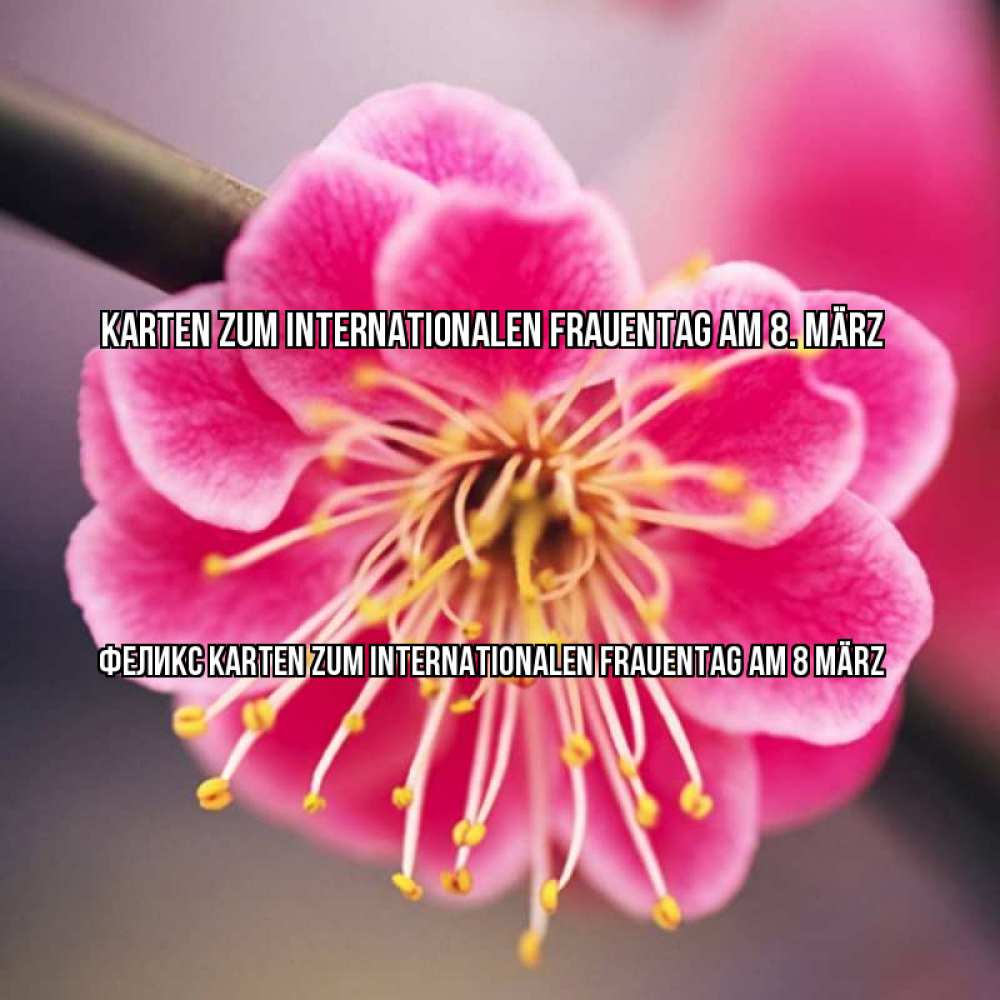 на немецком с именем, Феликс, Karten zum Internationalen Frauentag am 8. März