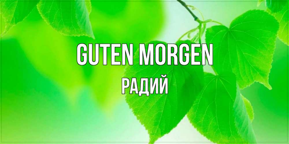Открытка на каждый день с именем, Радий Guten Morgen доброе утро с березовыми листьями Прикольная открытка с пожеланием онлайн скачать бесплатно 