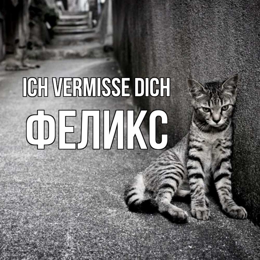 Открытка на каждый день с именем, Феликс Ich vermisse dich одиноко котику Прикольная открытка с пожеланием онлайн скачать бесплатно 