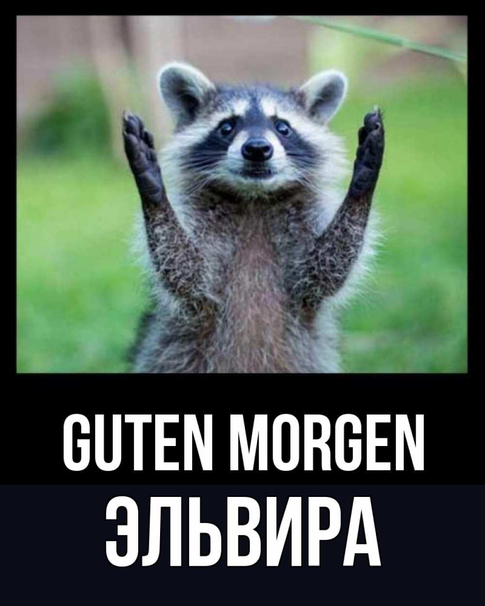 Открытка на каждый день с именем, Эльвира Guten Morgen хорошее настроение утречком Прикольная открытка с пожеланием онлайн скачать бесплатно 