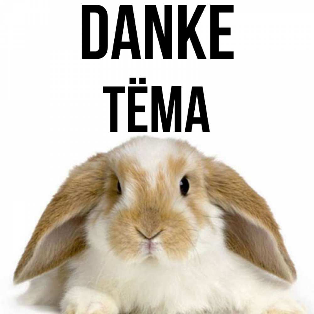 Открытка на каждый день с именем, Тёма Danke коричнево белый заяц Прикольная открытка с пожеланием онлайн скачать бесплатно 