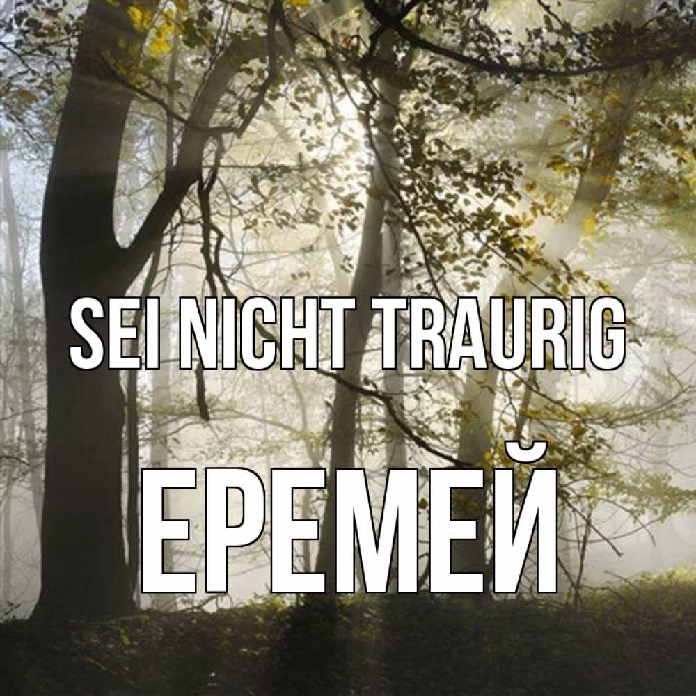 Открытка на каждый день с именем, Еремей Sei nicht traurig лес и свет Прикольная открытка с пожеланием онлайн скачать бесплатно 