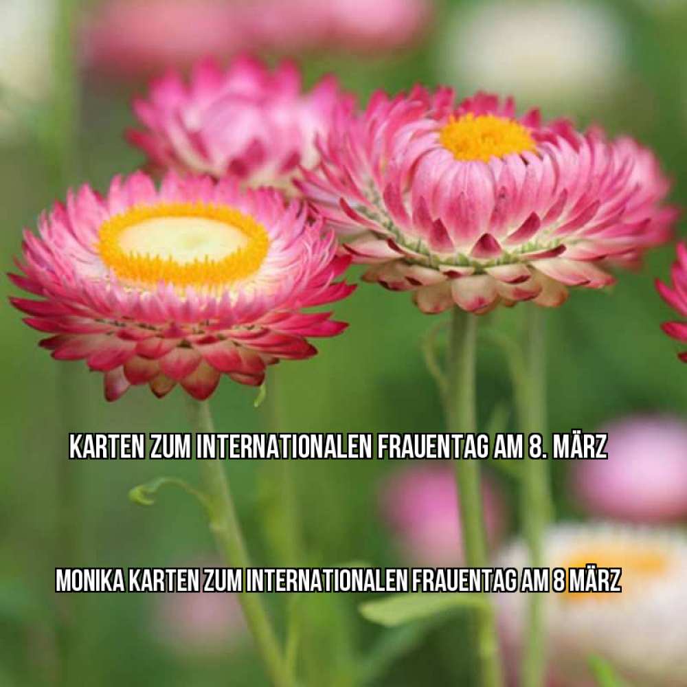 Картинка Karten zum Internationalen Frauentag am 8. März, Monika