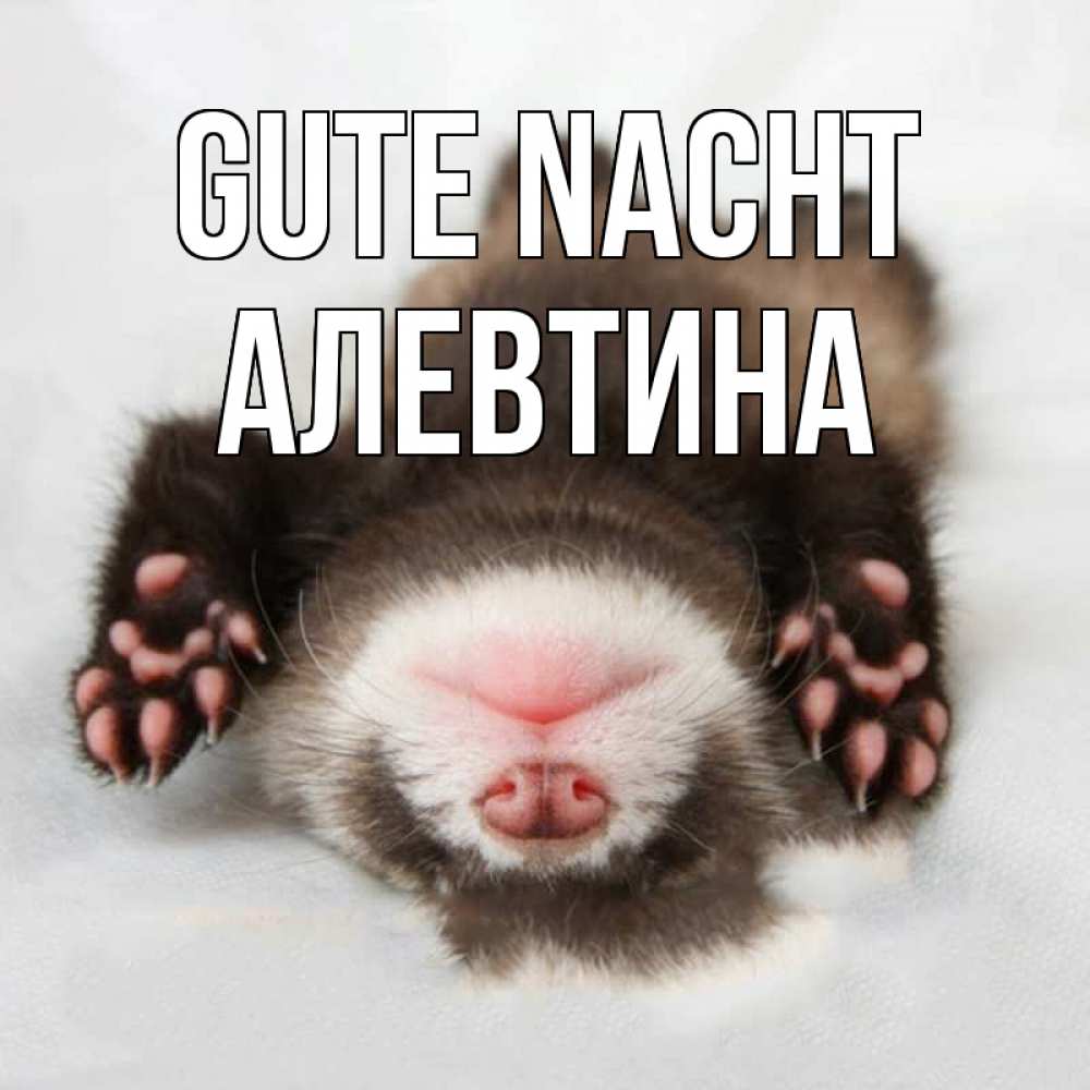 Открытка на каждый день с именем, Алевтина Gute Nacht зверек Прикольная открытка с пожеланием онлайн скачать бесплатно 