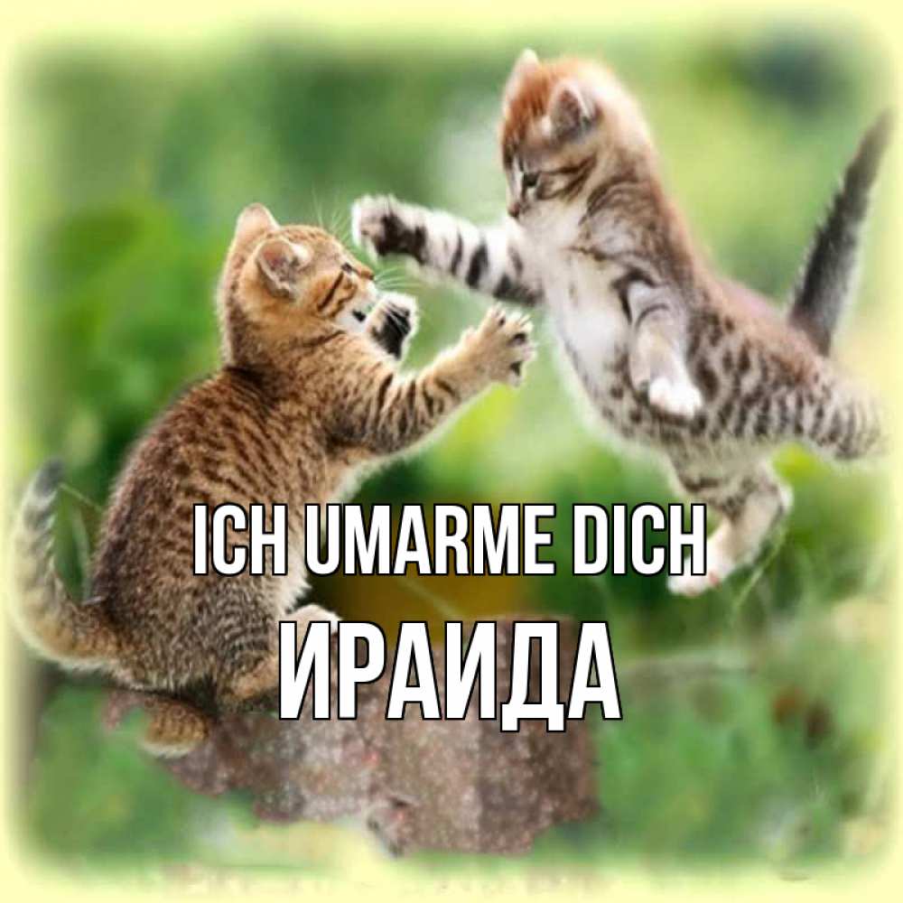 Открытка на каждый день с именем, Ираида Ich umarme dich игры котят Прикольная открытка с пожеланием онлайн скачать бесплатно 