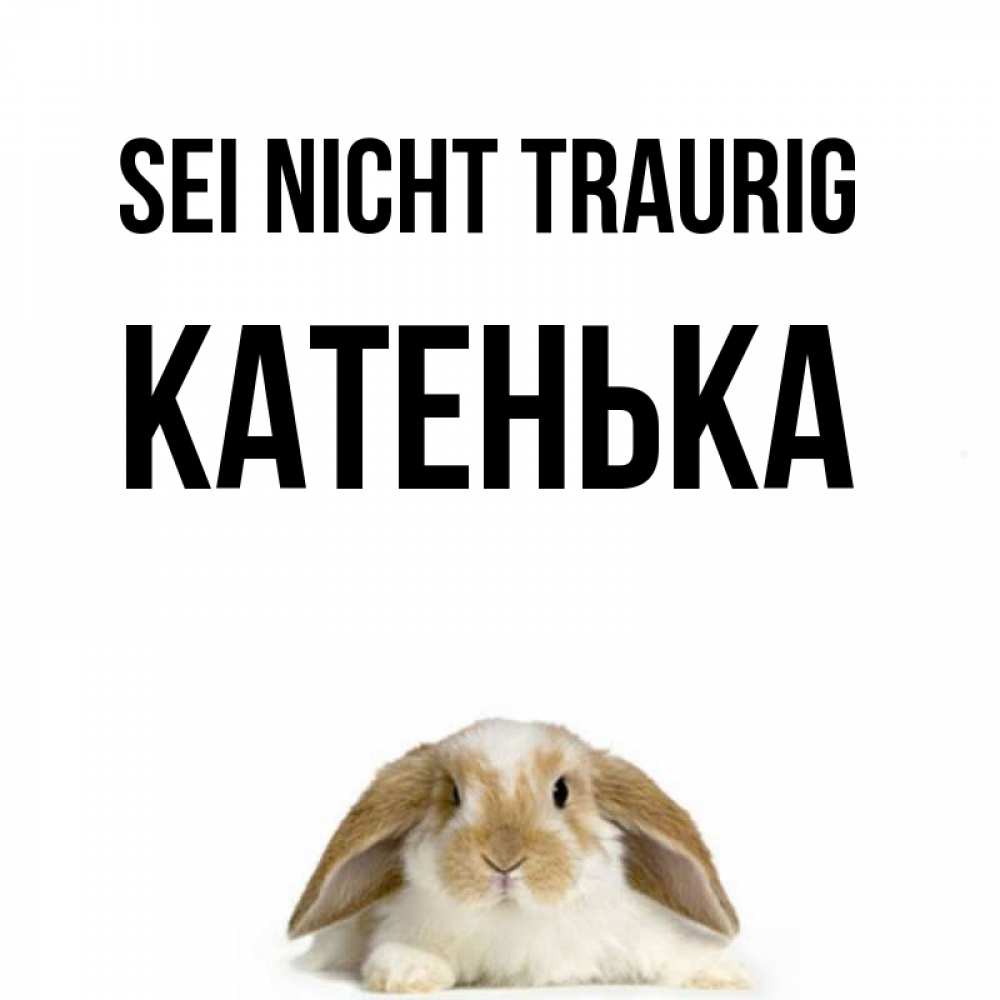 Открытка на каждый день с именем, Катенька Sei nicht traurig коричнево белый заяц с большими ушками Прикольная открытка с пожеланием онлайн скачать бесплатно 