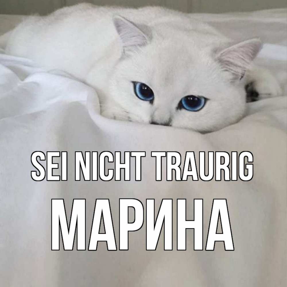 Открытка на каждый день с именем, Марина Sei nicht traurig белый кот с голубыми глазами на белоснежной кровати Прикольная открытка с пожеланием онлайн скачать бесплатно 