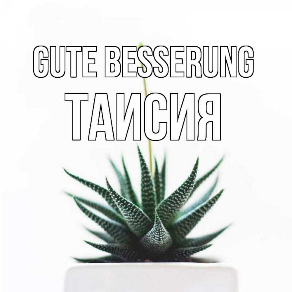 Открытка на каждый день с именем, Таисия Gute Besserung короче это непонятная колючка Прикольная открытка с пожеланием онлайн скачать бесплатно 