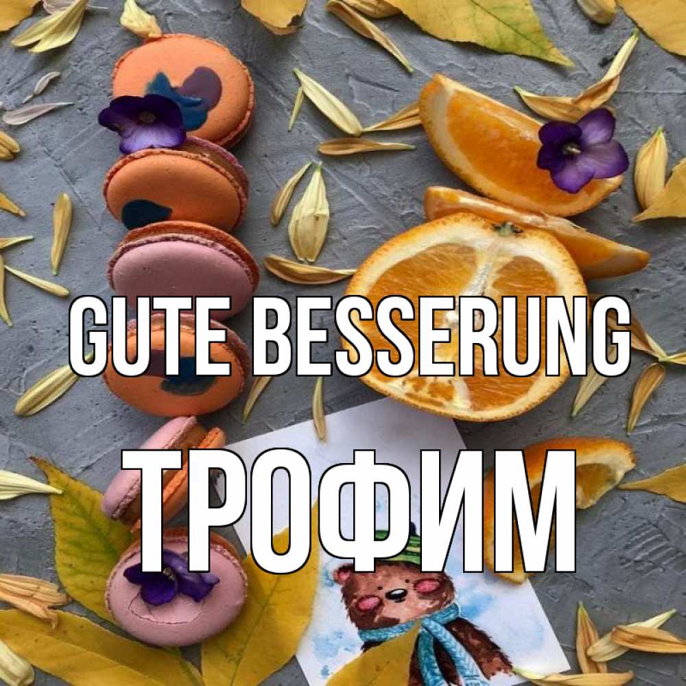 Открытка на каждый день с именем, Трофим Gute Besserung не болейте Прикольная открытка с пожеланием онлайн скачать бесплатно 