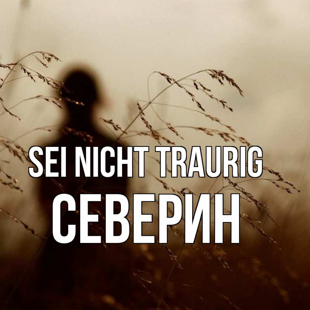 Открытка на каждый день с именем, Северин Sei nicht traurig грусть Прикольная открытка с пожеланием онлайн скачать бесплатно 