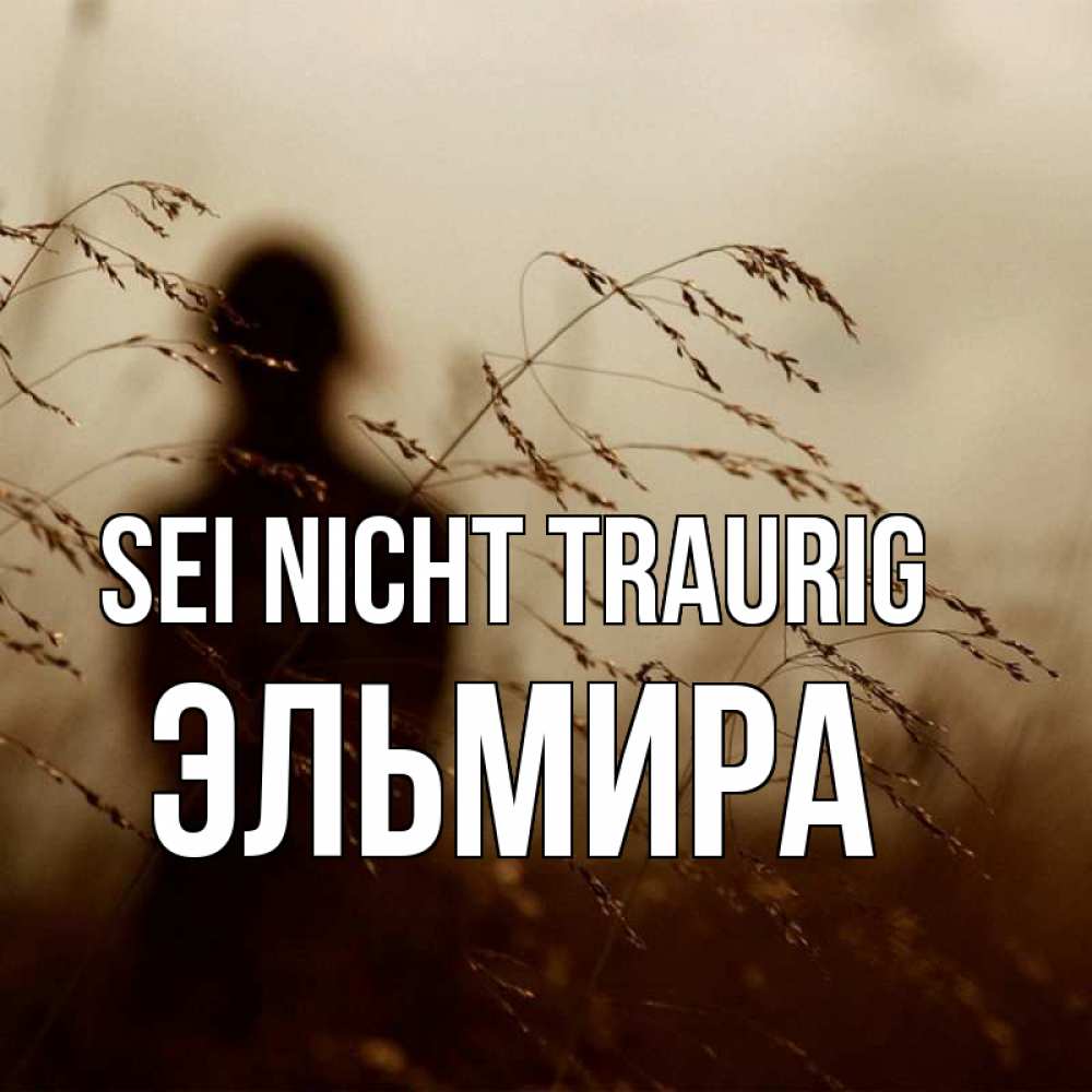 Открытка на каждый день с именем, Эльмира Sei nicht traurig грусть Прикольная открытка с пожеланием онлайн скачать бесплатно 