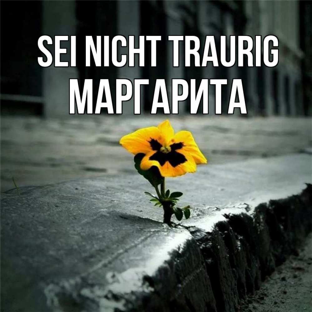 Открытка на каждый день с именем, Маргарита Sei nicht traurig не сдавайся Прикольная открытка с пожеланием онлайн скачать бесплатно 