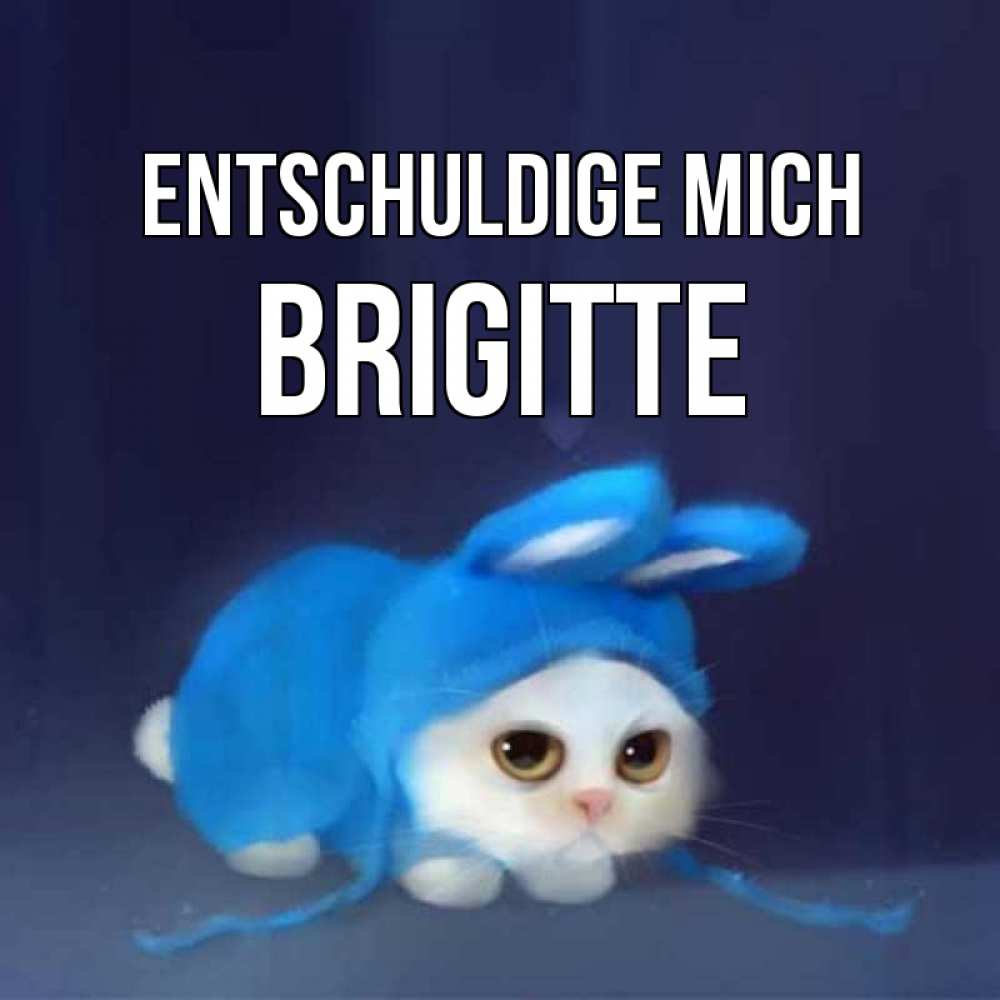 Открытка на каждый день с именем, Brigitte Entschuldige mich невинный котозай просит прощения Прикольная открытка с пожеланием онлайн скачать бесплатно 