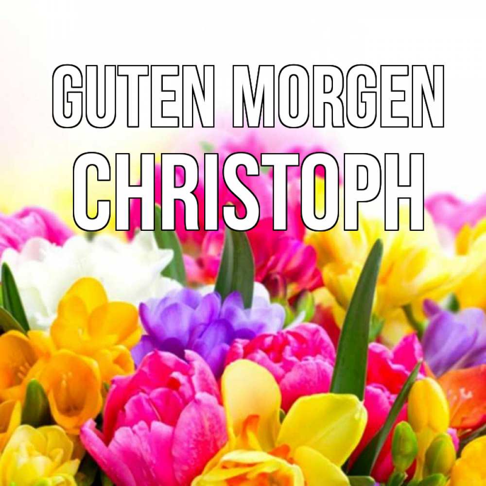 Открытка на каждый день с именем, Christoph Guten Morgen создать открытку со свое подписью Прикольная открытка с пожеланием онлайн скачать бесплатно 