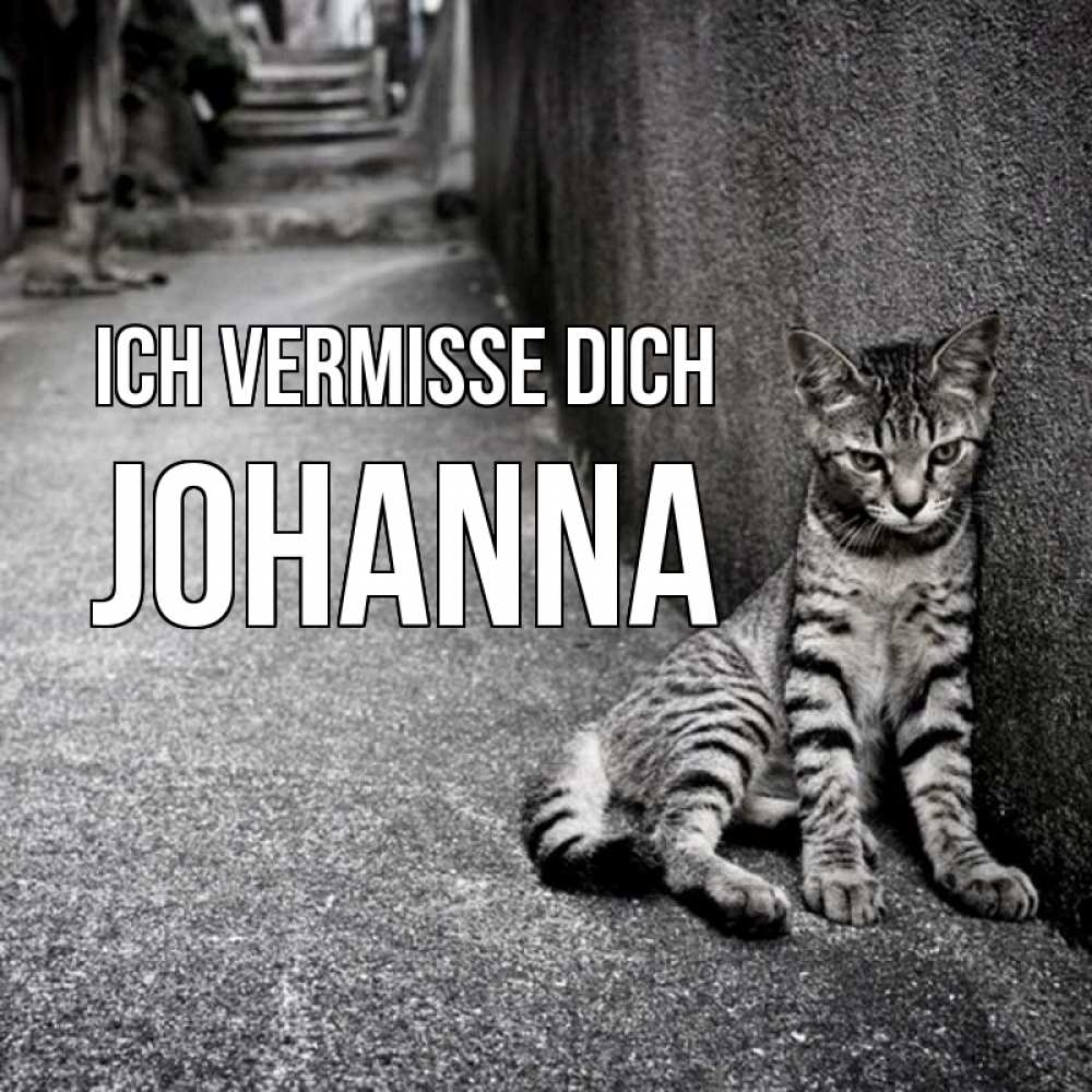 Открытка на каждый день с именем, Johanna Ich vermisse dich одиноко котику Прикольная открытка с пожеланием онлайн скачать бесплатно 