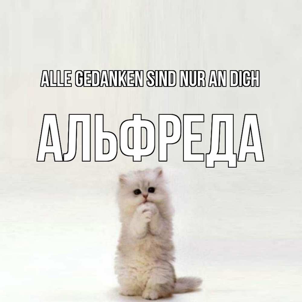 Открытка на каждый день с именем, Альфреда Alle Gedanken sind nur an dich кот стоит на задних лапах Прикольная открытка с пожеланием онлайн скачать бесплатно 