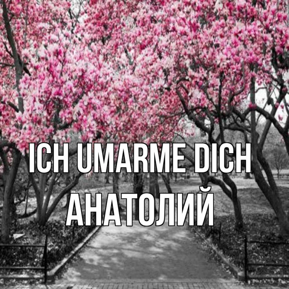 Открытка на каждый день с именем, Анатолий Ich umarme dich обработанное фото Прикольная открытка с пожеланием онлайн скачать бесплатно 