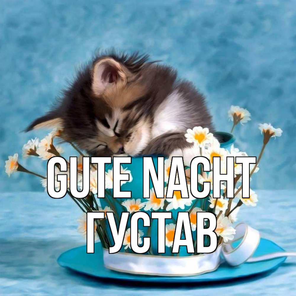 Открытка на каждый день с именем, Густав Gute Nacht котенок спит в кружке с блюдцем Прикольная открытка с пожеланием онлайн скачать бесплатно 