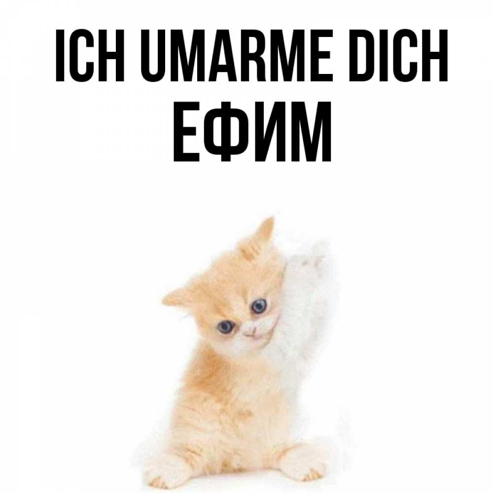Открытка на каждый день с именем, Ефим Ich umarme dich я хочу очень скорее обнимаешек Прикольная открытка с пожеланием онлайн скачать бесплатно 
