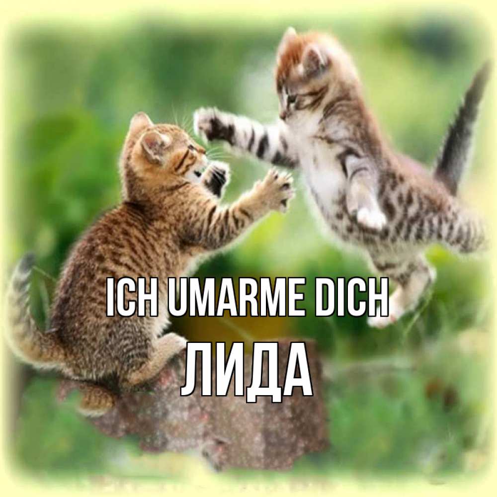 Открытка на каждый день с именем, Лида Ich umarme dich игры котят Прикольная открытка с пожеланием онлайн скачать бесплатно 