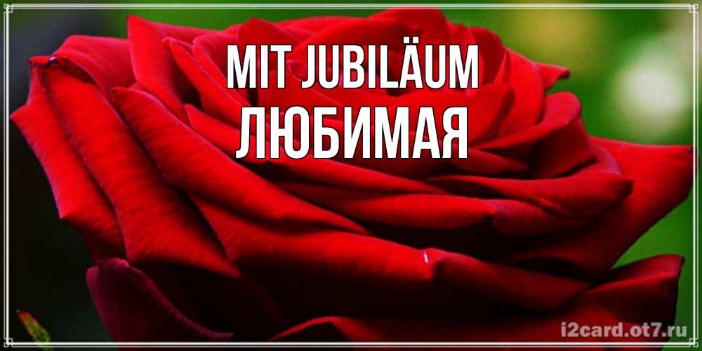 Открытка на каждый день с именем, Любимая Mit Jubiläum розочка очень красивая Прикольная открытка с пожеланием онлайн скачать бесплатно 
