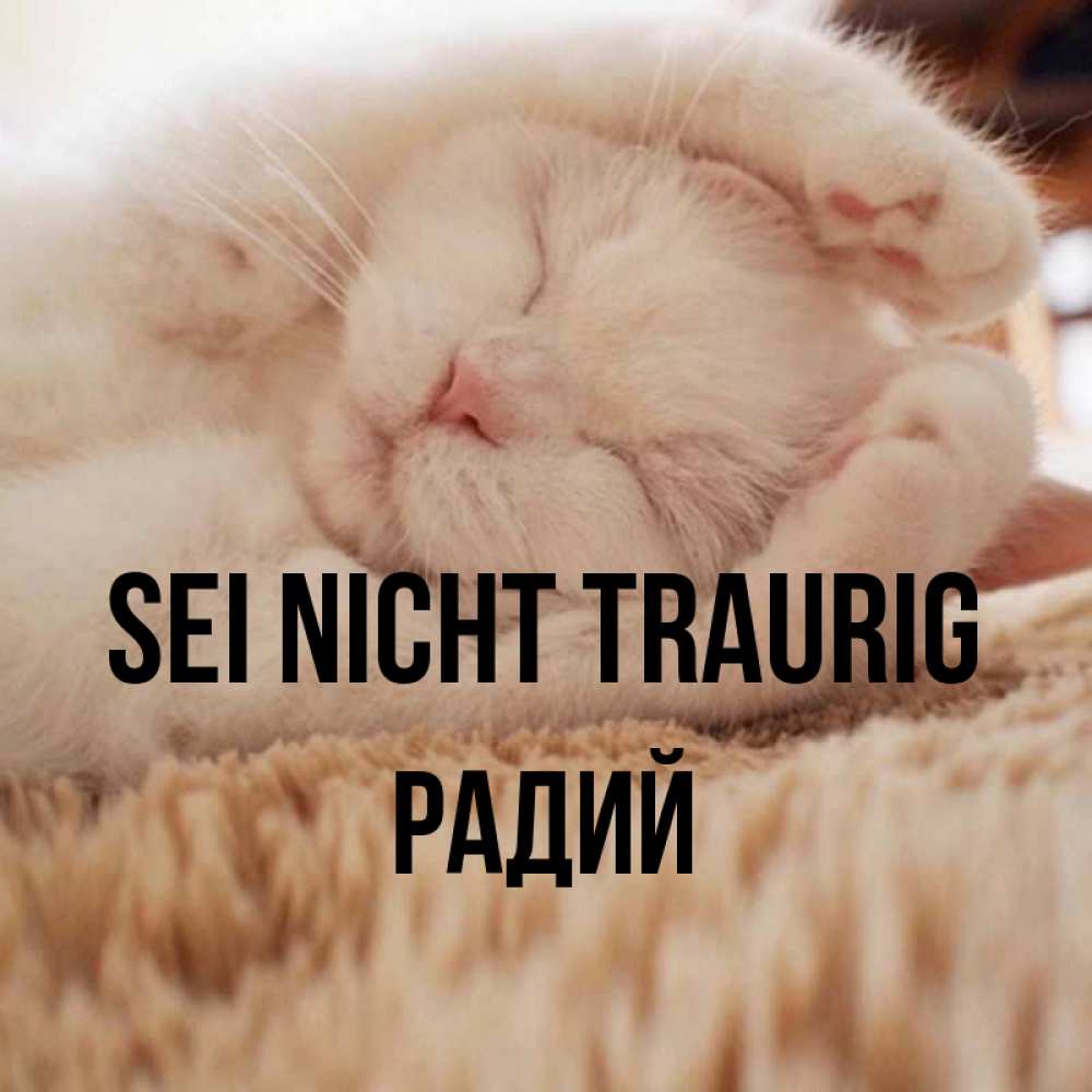 Открытка на каждый день с именем, Радий Sei nicht traurig Котенок спит Прикольная открытка с пожеланием онлайн скачать бесплатно 