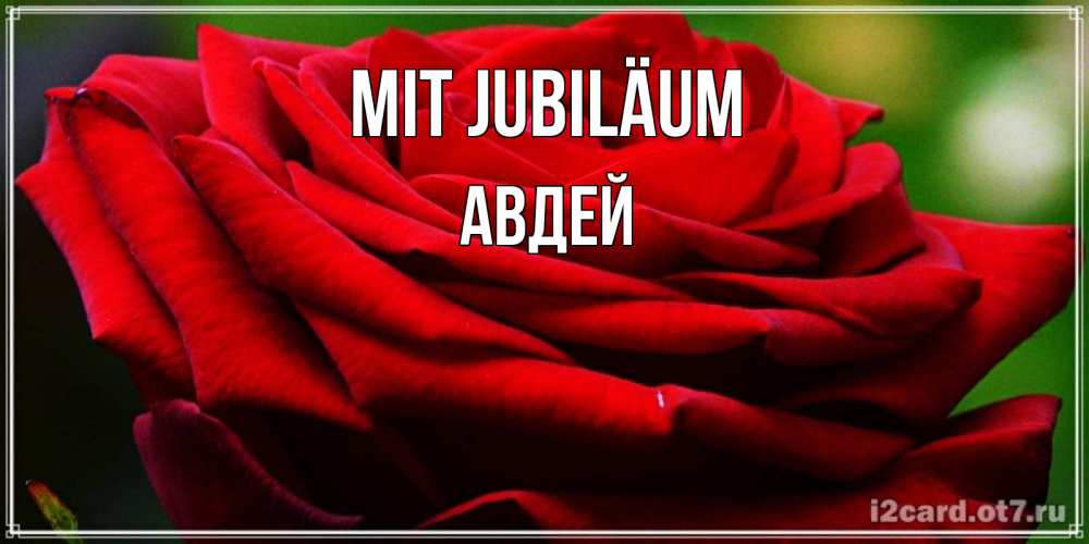 Открытка на каждый день с именем, Авдей Mit Jubiläum розочка очень красивая Прикольная открытка с пожеланием онлайн скачать бесплатно 