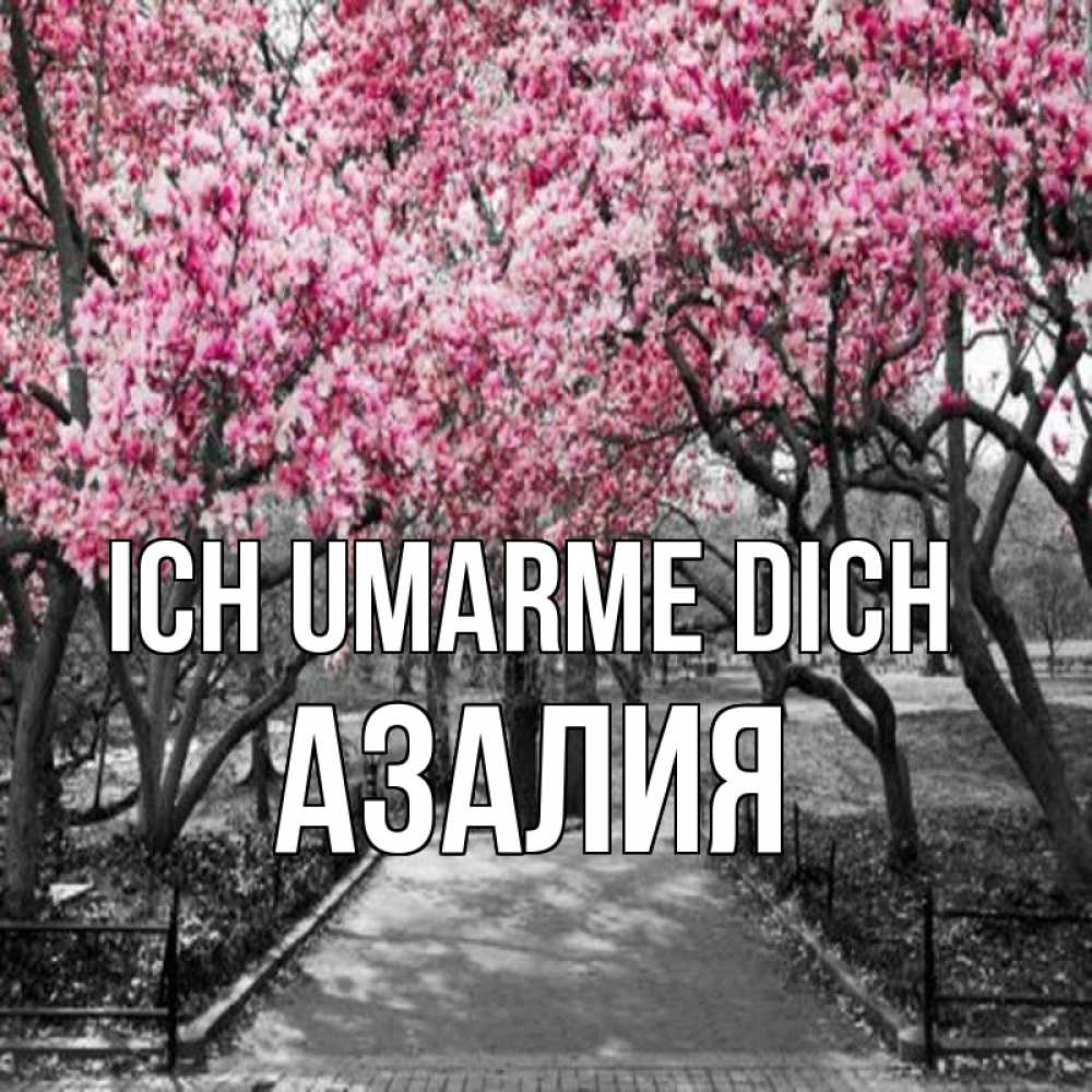 Открытка на каждый день с именем, Азалия Ich umarme dich обработанное фото Прикольная открытка с пожеланием онлайн скачать бесплатно 