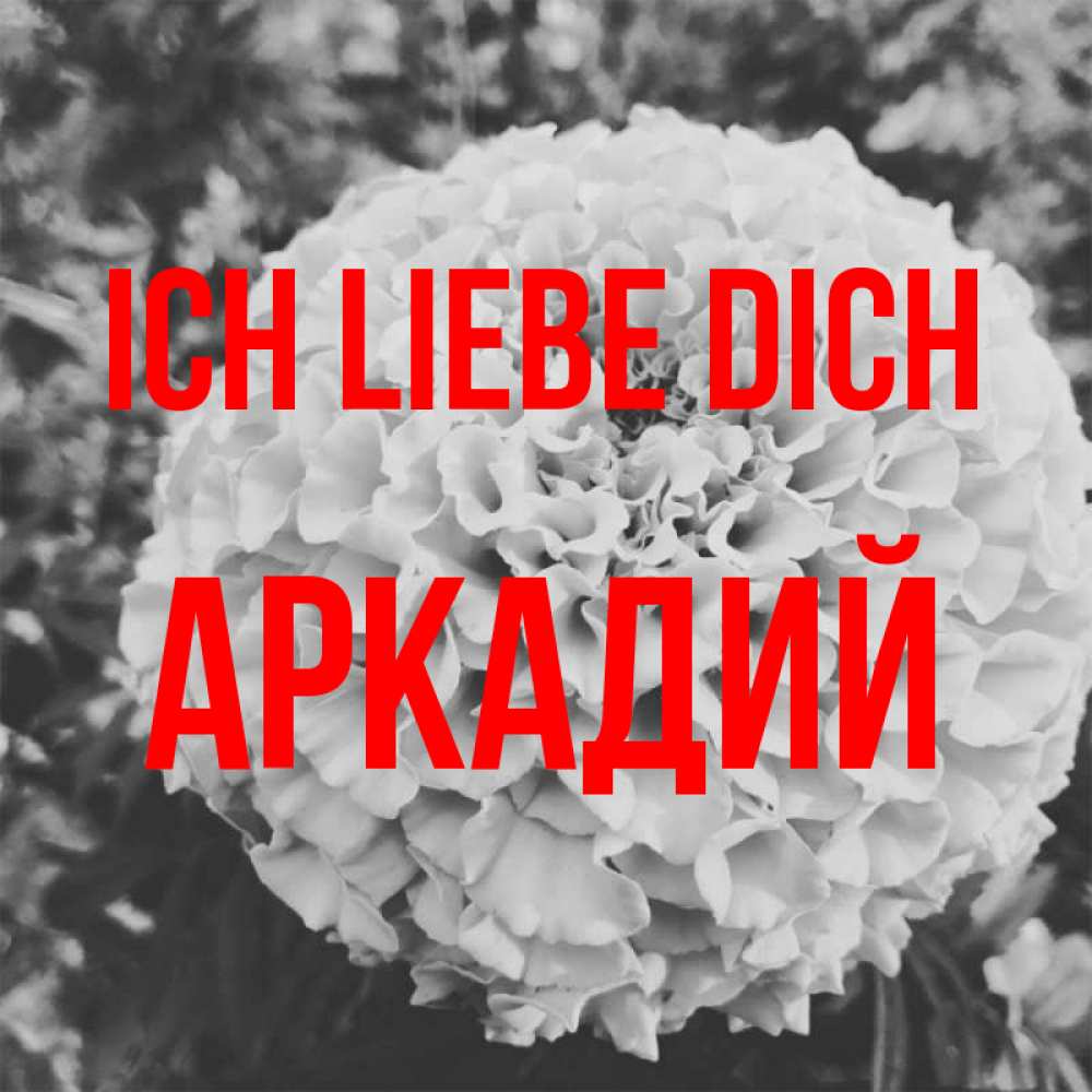 Открытка на каждый день с именем, Аркадий Ich liebe dich подпись Прикольная открытка с пожеланием онлайн скачать бесплатно 