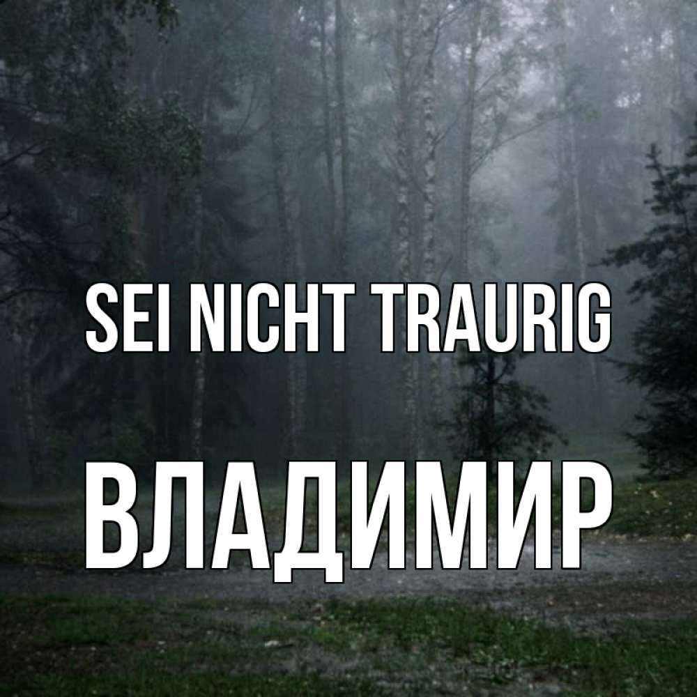 Открытка на каждый день с именем, Владимир Sei nicht traurig осень Прикольная открытка с пожеланием онлайн скачать бесплатно 