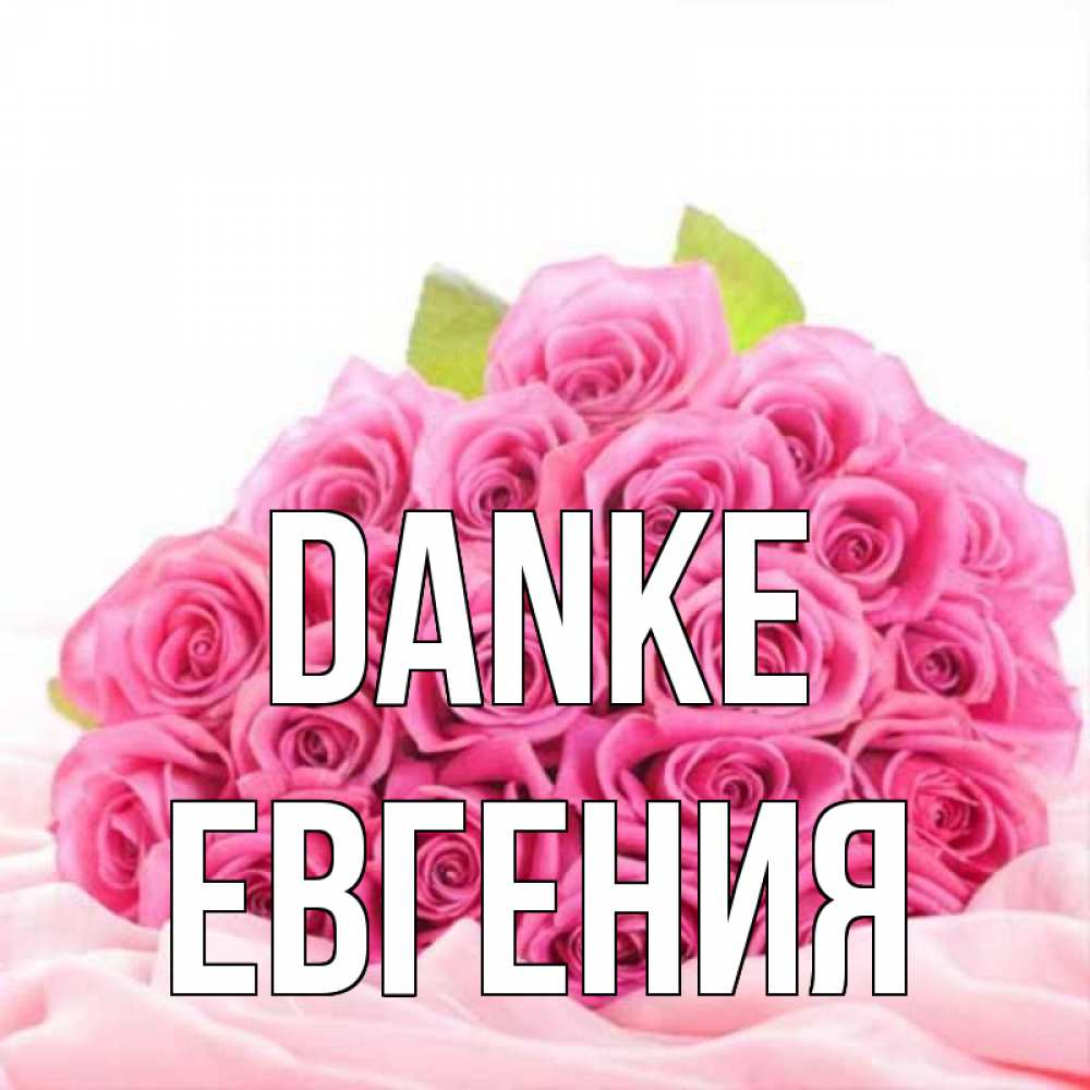 Открытка на каждый день с именем, Евгения Danke розовые розы с подписью Прикольная открытка с пожеланием онлайн скачать бесплатно 
