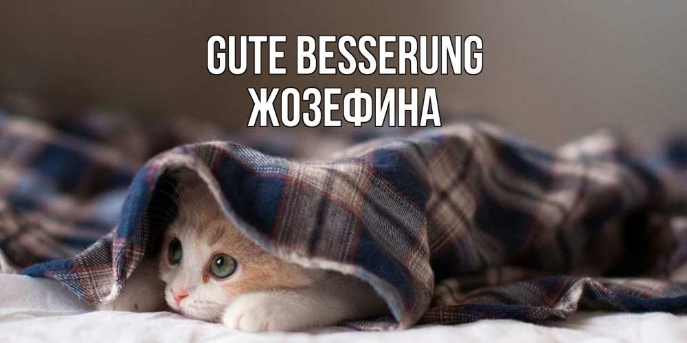 Открытка на каждый день с именем, Жозефина Gute Besserung не болейте с котиком Прикольная открытка с пожеланием онлайн скачать бесплатно 