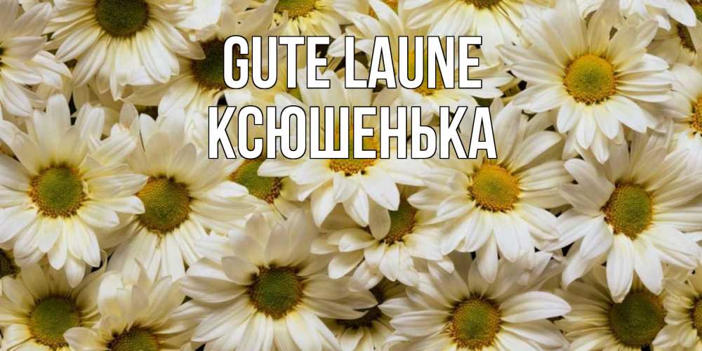 Открытка на каждый день с именем, Ксюшенька Gute Laune крупные ромашки Прикольная открытка с пожеланием онлайн скачать бесплатно 
