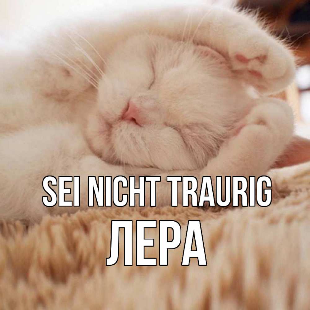 Открытка на каждый день с именем, Лера Sei nicht traurig белый кот Прикольная открытка с пожеланием онлайн скачать бесплатно 
