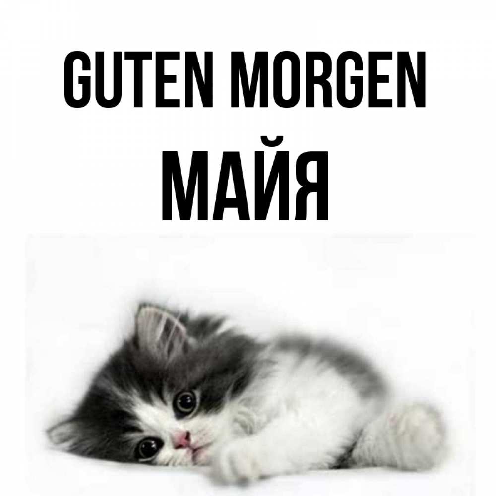 Открытка на каждый день с именем, Майя Guten Morgen кот лапки Прикольная открытка с пожеланием онлайн скачать бесплатно 