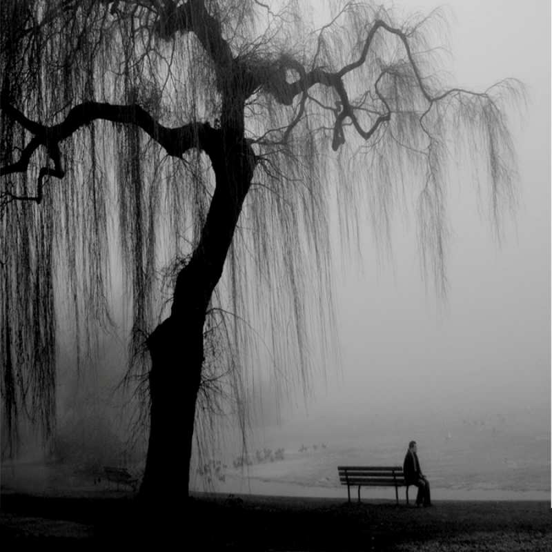 Открытка плаксивое дерево  лавочка под деревом я жду тебя  Ich vermisse dich 