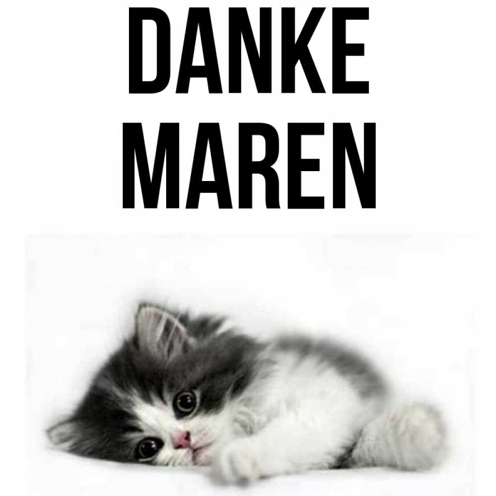 Открытка на каждый день с именем, Maren Danke черный и белый кот Прикольная открытка с пожеланием онлайн скачать бесплатно 