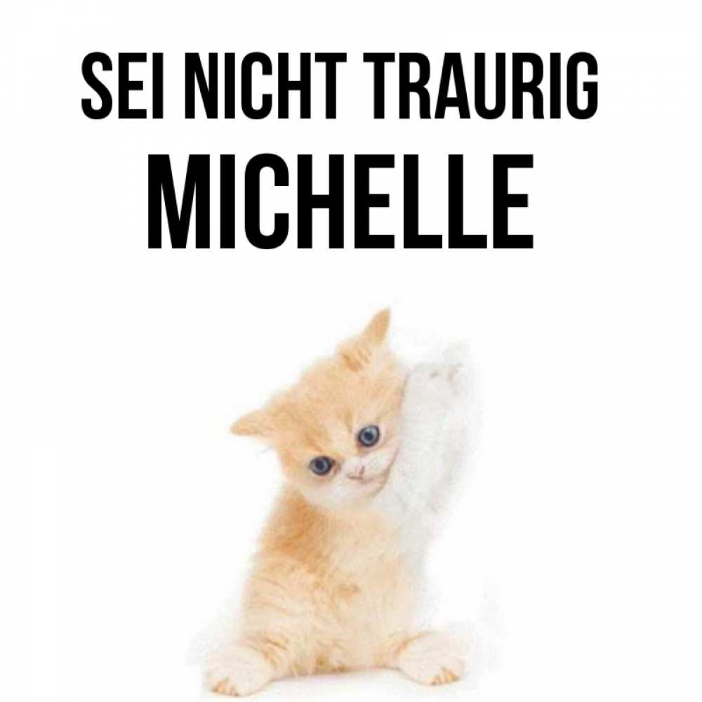 Открытка на каждый день с именем, Michelle Sei nicht traurig просящий кот Прикольная открытка с пожеланием онлайн скачать бесплатно 