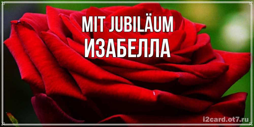 Открытка на каждый день с именем, Изабелла Mit Jubiläum розочка очень красивая Прикольная открытка с пожеланием онлайн скачать бесплатно 