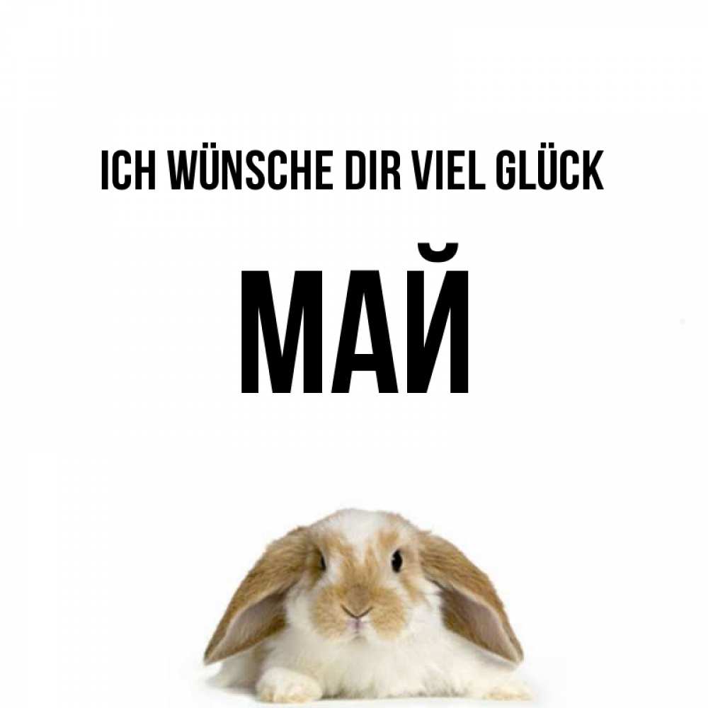 Открытка на каждый день с именем, Май Ich wünsche dir viel Glück открытки с произвольным текстом который можно вставить в открытку и создать ее самостоятельно бесплатно онлайн Прикольная открытка с пожеланием онлайн скачать бесплатно 
