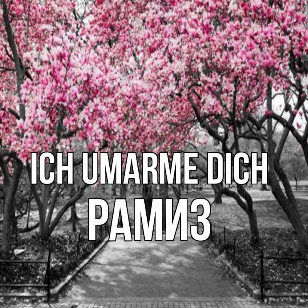 Открытка на каждый день с именем, Рамиз Ich umarme dich обработанное фото Прикольная открытка с пожеланием онлайн скачать бесплатно 