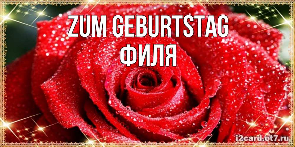 Открытка на каждый день с именем, Филя Zum Geburtstag роса и роза. открытка с красивой розой Прикольная открытка с пожеланием онлайн скачать бесплатно 