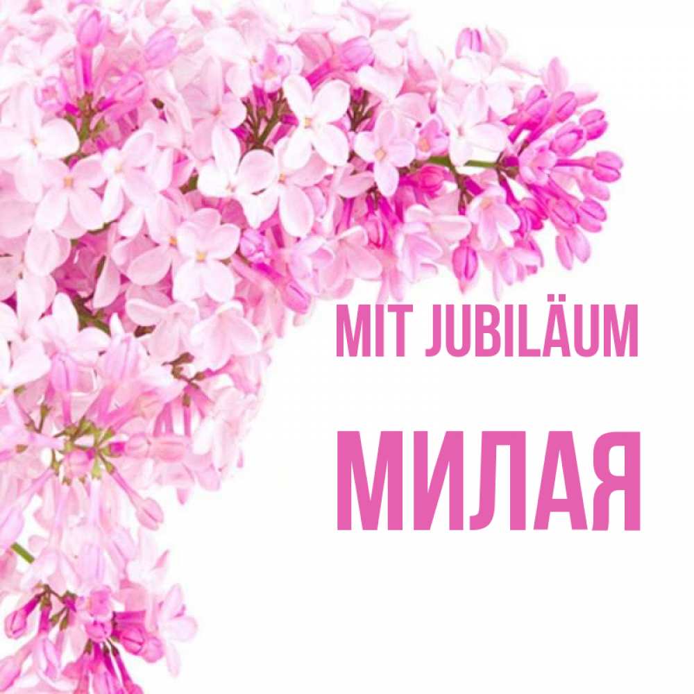 Открытка на каждый день с именем, Милая Mit Jubiläum Сирень на белом фоне Прикольная открытка с пожеланием онлайн скачать бесплатно 