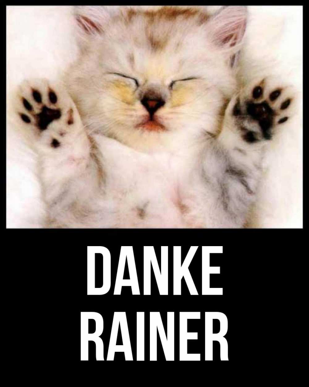 Открытка на каждый день с именем, Rainer Danke маленький котенок Прикольная открытка с пожеланием онлайн скачать бесплатно 
