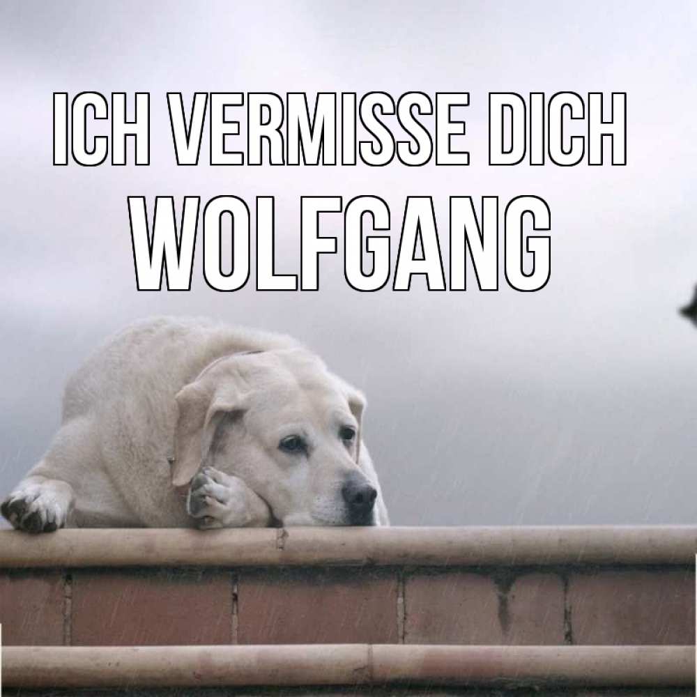 Открытка на каждый день с именем, Wolfgang Ich vermisse dich ждет Прикольная открытка с пожеланием онлайн скачать бесплатно 