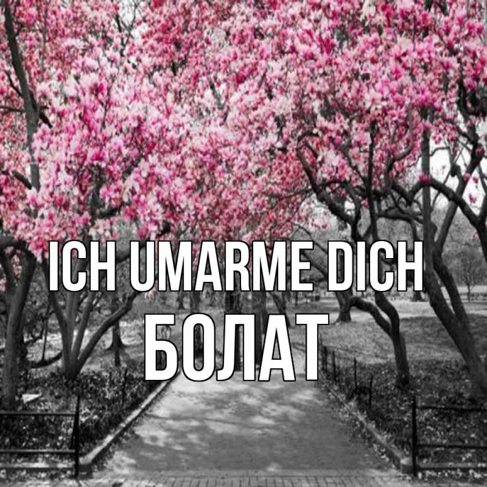 Открытка на каждый день с именем, Болат Ich umarme dich обработанное фото Прикольная открытка с пожеланием онлайн скачать бесплатно 